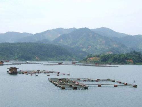 東江湖水產養殖基地
